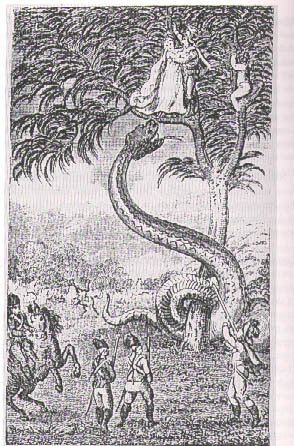 serpent gant.JPG (67833 octets)