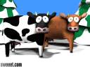 cows1024x768.jpg