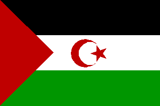 [Big Flag of Western Sahara]