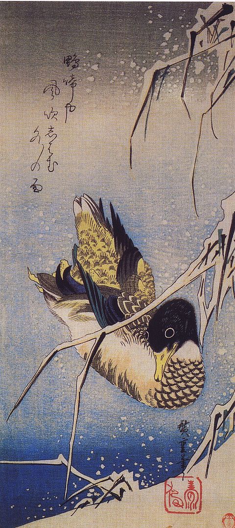 Hiroshige, canard
