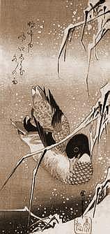 Canard Hiroshige