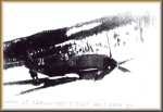 Bf 109E/4 3 noir sur le lac Sperillen