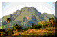 Montagne PELEE (Vue du CARBET).gif (56138 octets)
