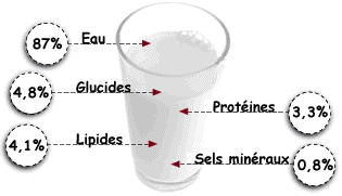 Composition d'un litre de lait