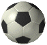 soccer.gif (14024 octets)