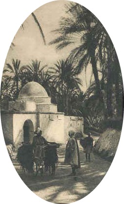 Sidi Bou Ali