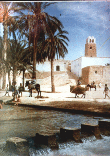 Sidi Mazhoud