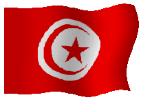 drapeau de la Tunisie