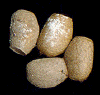 egg-creo.gif (17902 octets)