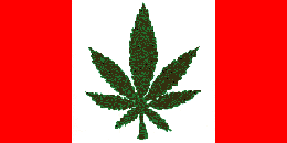 I really feel that the Canadian flag would look much better and mean a whole lot more(to me at least) if we substituted the maple leaf with a marijuana leaf- 2.4 K