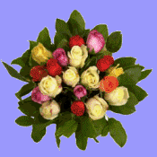 bouquet de roses diverses