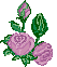 bouquet de roses animes