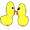 2 canards qui s'embrassent
