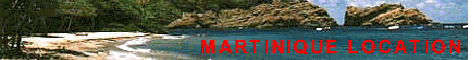 animation-banner-GUADELOUPE-martinique-location.gif (64812 octets)