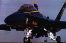 F-18 de la patrouille acrobatique Blue Angels de l'U.S.Navy