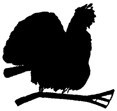 Logo du Tir au Coq de Bruyre de Semsales