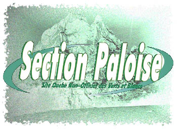 Liens vers le site officiel de la Section Paloise.