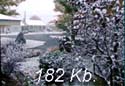 Vue de ma fentre de la premire neige du 21 octobre 2002.